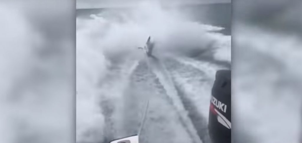 Απαράδεχτο!!! Βίντεο με ψαράδες που γελάνε ενώ σέρνουν καρχαρία