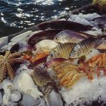 Μισός τόνος ακατάλληλα ψάρια θα έμπαιναν στην αγορά