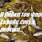 Η βάρκα του ψαρά έκρυβε ένοχα μυστικά…