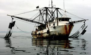 Διεθνές «μπλόκο» στην παράνομη αλιεία Διεθνές «μπλόκο» στην παράνομη αλιεία