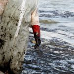 Τεράστια οικολογική καταστροφή στη Σαλαμίνα