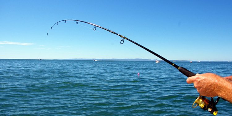 Απαγορεύεται το ψάρεμα για συγκεκριμένα είδη