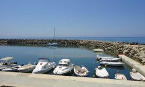 Είχαν αλιεύσει έξι ξιφίες χωρίς να έχουν άδεια Είχαν αλιεύσει έξι ξιφίες χωρίς να έχουν άδεια