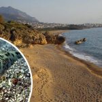 “Επιθέσεις” ψαριών σε λουόμενους