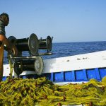 Με πρόστιμα για το ψάρεμα με γρι-γρι κινδυνεύει η Ελλάδα