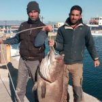 Έπιασαν ψάρι “θηρίο” 63 κιλών στην Σύρο με… καλάμι!