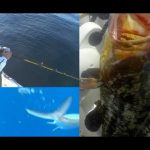 Ψαρεμα Slow Jigging – C&R Απελευθέρωση Μαγιάτικο & Ροφός