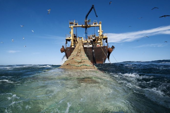 Πάνω από το ήμισυ των ωκεανών εκτεθειμένο στην επαγγελματική αλιεία