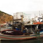 Σκιώνη- Ψαράδες εντόπισαν το πτώμα του αγνοούμενου ψαρά