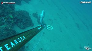 Vassilis Garoutsos – Learn The Sonar LTS #7 – White Grouper Vassilis Garoutsos – Learn The Sonar LTS #7 – White Grouper