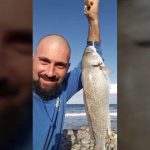 Ψάρεμα για Μυλοκοπια με την τεχνική του SURF CASTING