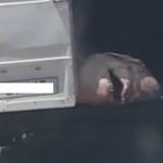Ψαράδες αλίευσαν τεράστιο καρχαρία – ΒΙΝΤΕΟ