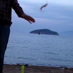 Ψαρεμα 16/5/2018 βραδινο