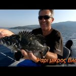Ψάρεμα με Σκάφος και απ’ έξω