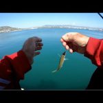 Μόνο τα μικρά ήταν εκεί…