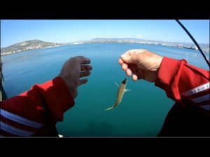 Μόνο τα μικρά ήταν εκεί… Μόνο τα μικρά ήταν εκεί…