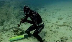 Ψαροντουφεκάς εντόπισε όπλο μέσα στην θάλασσα Ψαροντουφεκάς εντόπισε όπλο μέσα στην θάλασσα