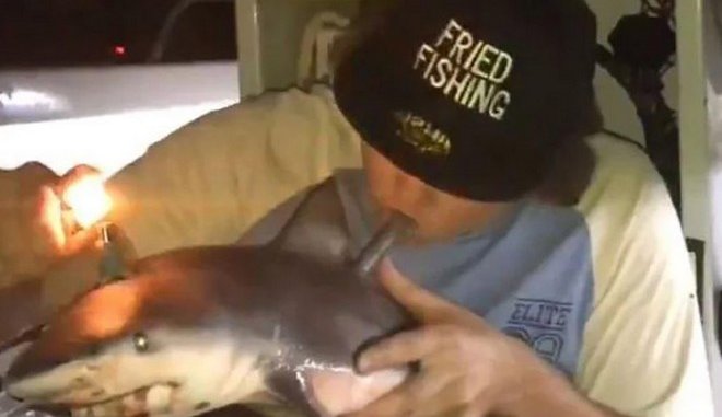 Αρρωστημένο βίντεο με “ψαρά”- Καπνίζει χρησιμοποιώντας καρχαρία
