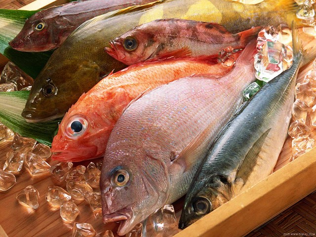 Τρώγοντας ψάρι, μειώνετε σημαντικά, την εμφάνιση καρκίνου!