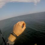 Ψάρεμα σπάρων με καλάμι eging,η απόλυτη απόλαυση…