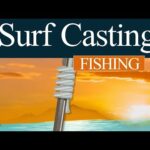 Casting & Surf Casting: Ψάρεμα και επιλογή αγκιστριού