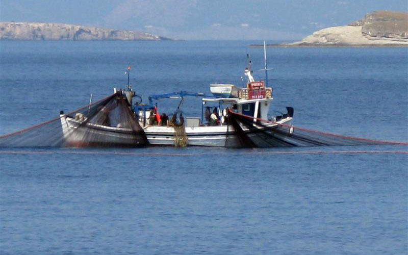 Οι αλιείς βιντζότρατας οδεύουν σε αφανισμό