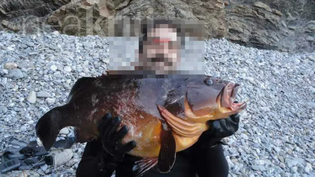 Αγνοείται ακόμα ο 47χρονος ψαροντουφεκάς από το Ηράκλειο