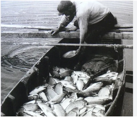 Ψάρεμα στην Κατοχή: Μια Ιστορία Ανθρώπων και Ελπίδας