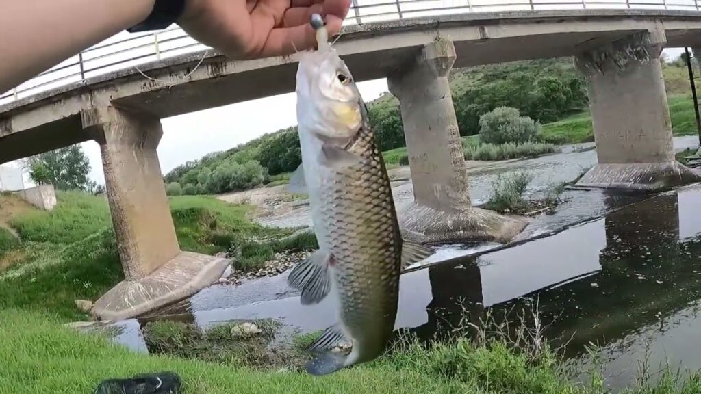 Ψάρεμα σε ποτάμι