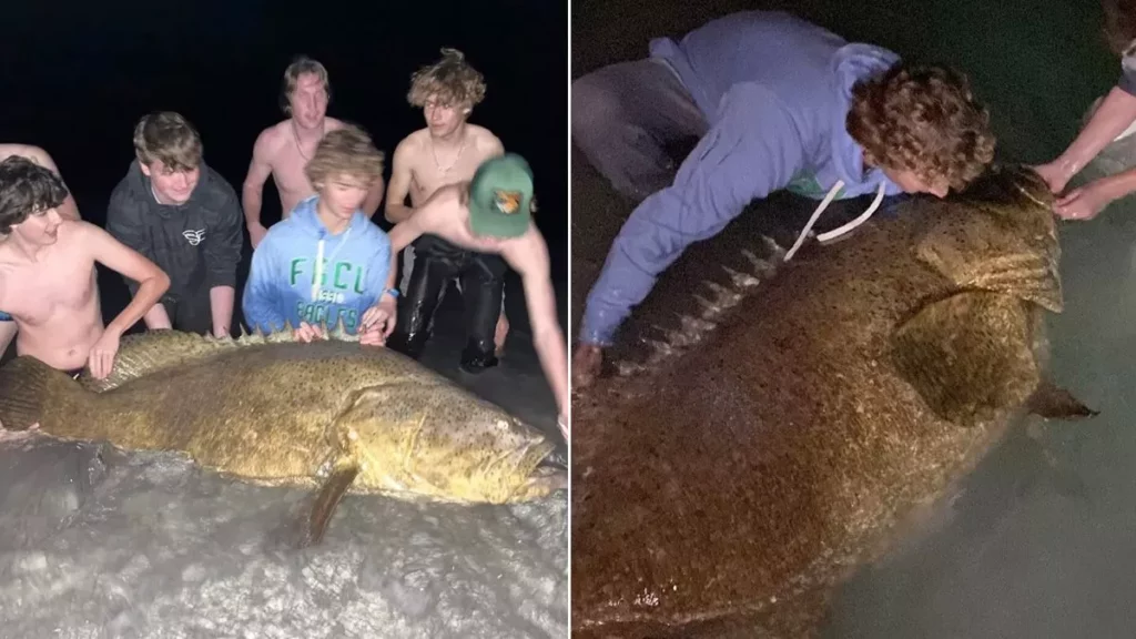 Ένας μαθητής λυκείου έπιασε ψάρι βαρους 113 κιλών!