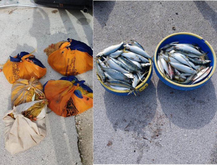 Σύλληψη ερασιτέχνη ψαρά για παράνομη αλιεία στον Σαρωνικό