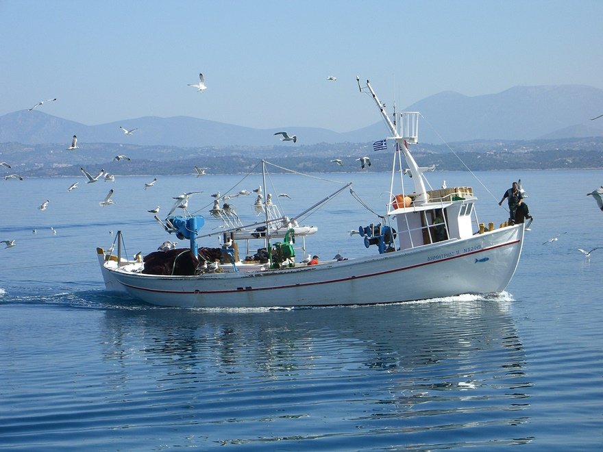 Η θάλασσα του Ρεθύμνου κινδυνεύει: Υπεραλίευση, λαγοκέφαλοι και οικονομικές δυσκολίες