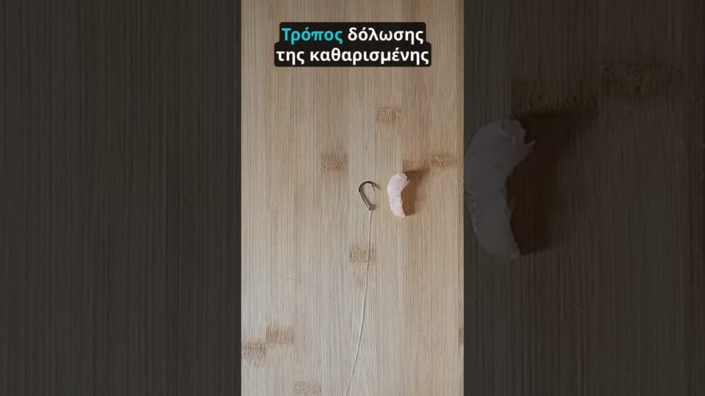 Γαρίδα: Το Απόλυτο Δόλωμα και η Τέχνη της Σωστής Δόλωσης μέσα σε 30 Δευτερόλεπτα