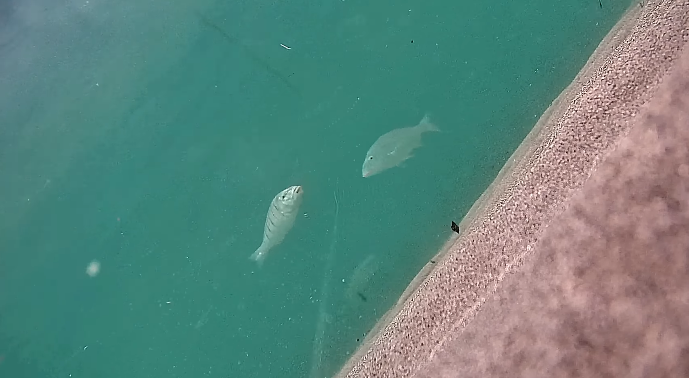 Μπορεί η CanFish CamX να αλλάξει τα δεδομένα στο ψάρεμά μας;