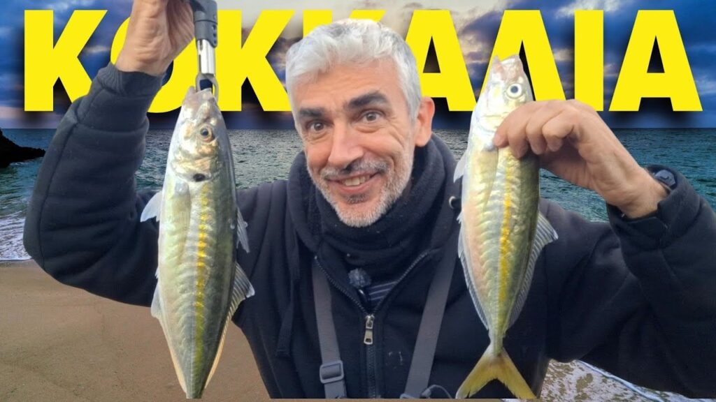 LRF & Κοκκάλια στο Ξημέρωμα: Όταν ένα Οικονομικό Τεχνητό Κάνει τη Διαφορά